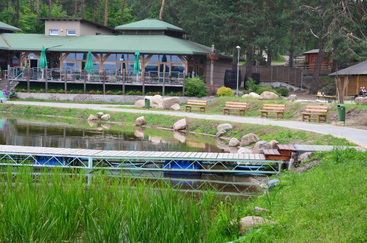 Domki Kaszuby - jezioro las i zoo w Szarlocie Kościerzyna Zewnętrze zdjęcie